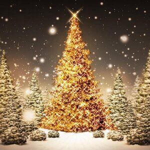 Meet your Posher, Lucy